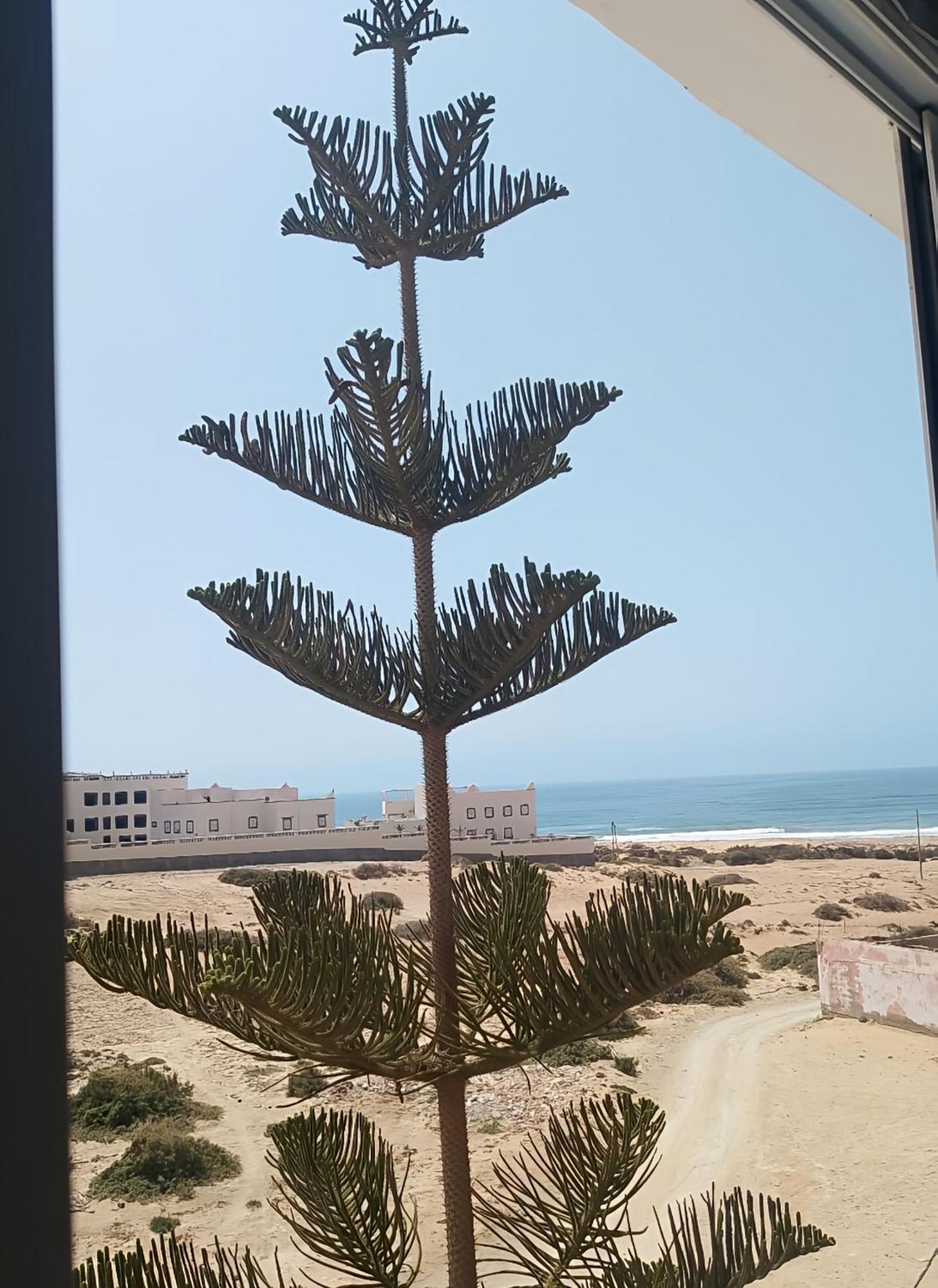 מלון אימסואן Tildi Surf House מראה חיצוני תמונה